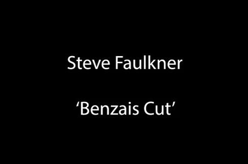 Steve Faulkner - The Benzais Cut