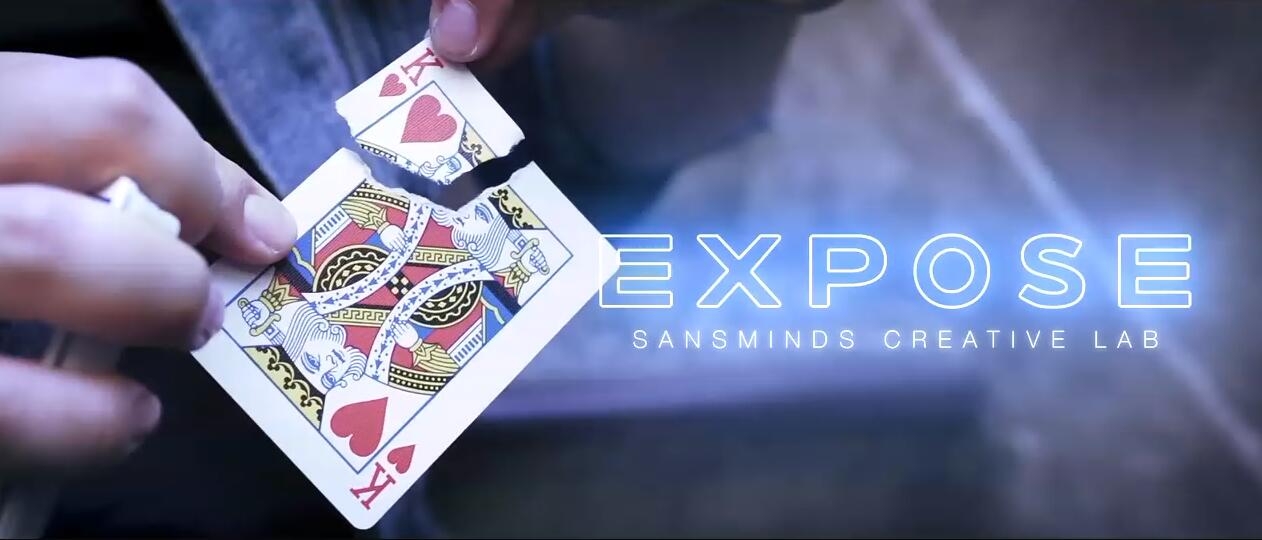 SansMinds - Expose