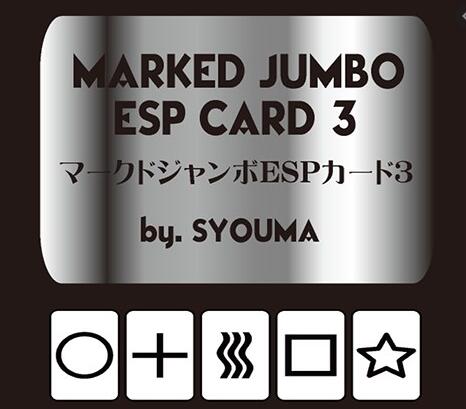 Tejinaya Magic - Marked Jumbo ESP Cards