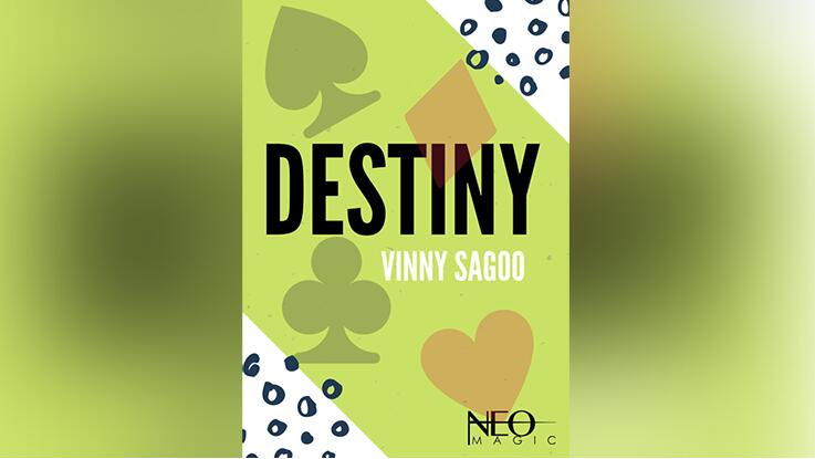 Vinny Sagoo - Destiny