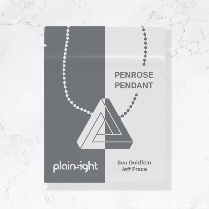 Jeff Prace - Penrose Pendant