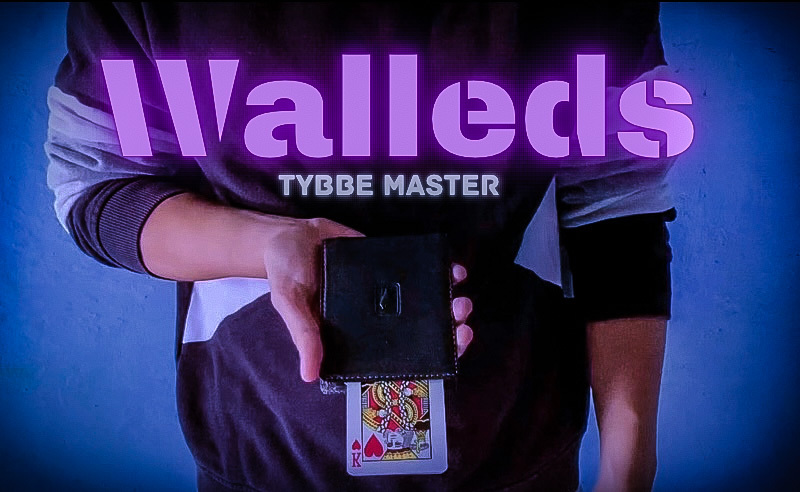 Walleds by Tybbe Master (Mp4 Video Magic Download)