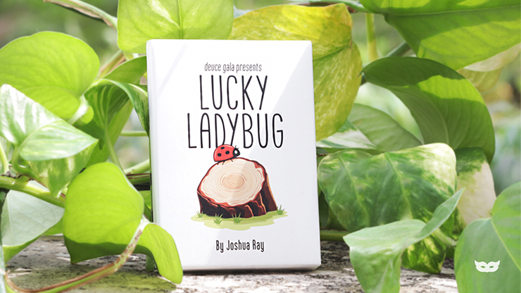 Lucky Ladybug by Joshua Ray & Deuce Gala Magic (Mp4 Video + PDF Full Magic Download)