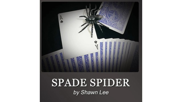 Spade Spider by Shawn Lee (Mp4 Video Magic Download)