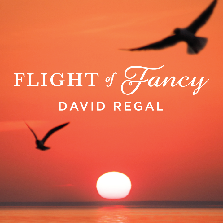 Flight of Fancy by David Regal (Mp4 Video Magic Download)