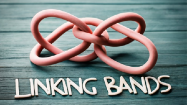 Linking Bands By Fernando Moreno