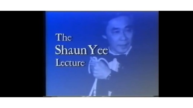 The London Lecture by Shaun Yee