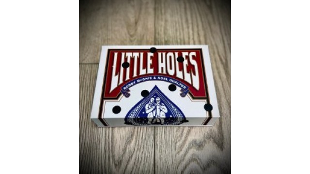 Little Holes By Roddy Mcghie And Noel Qualter