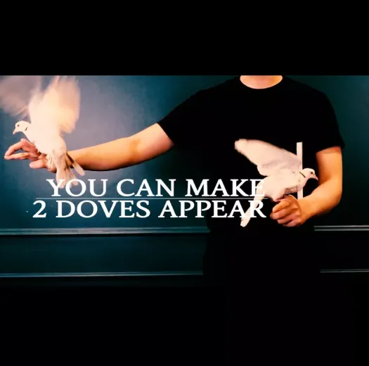 Dove Book Lecture (Nobody) by C.Y. - D.Book Lecture (Mp4 Video Magic Download 1080p FullHD Quality)