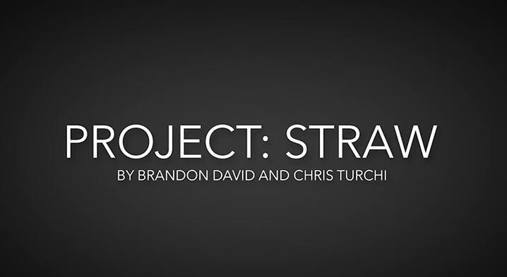 Brandon David - Project Straw